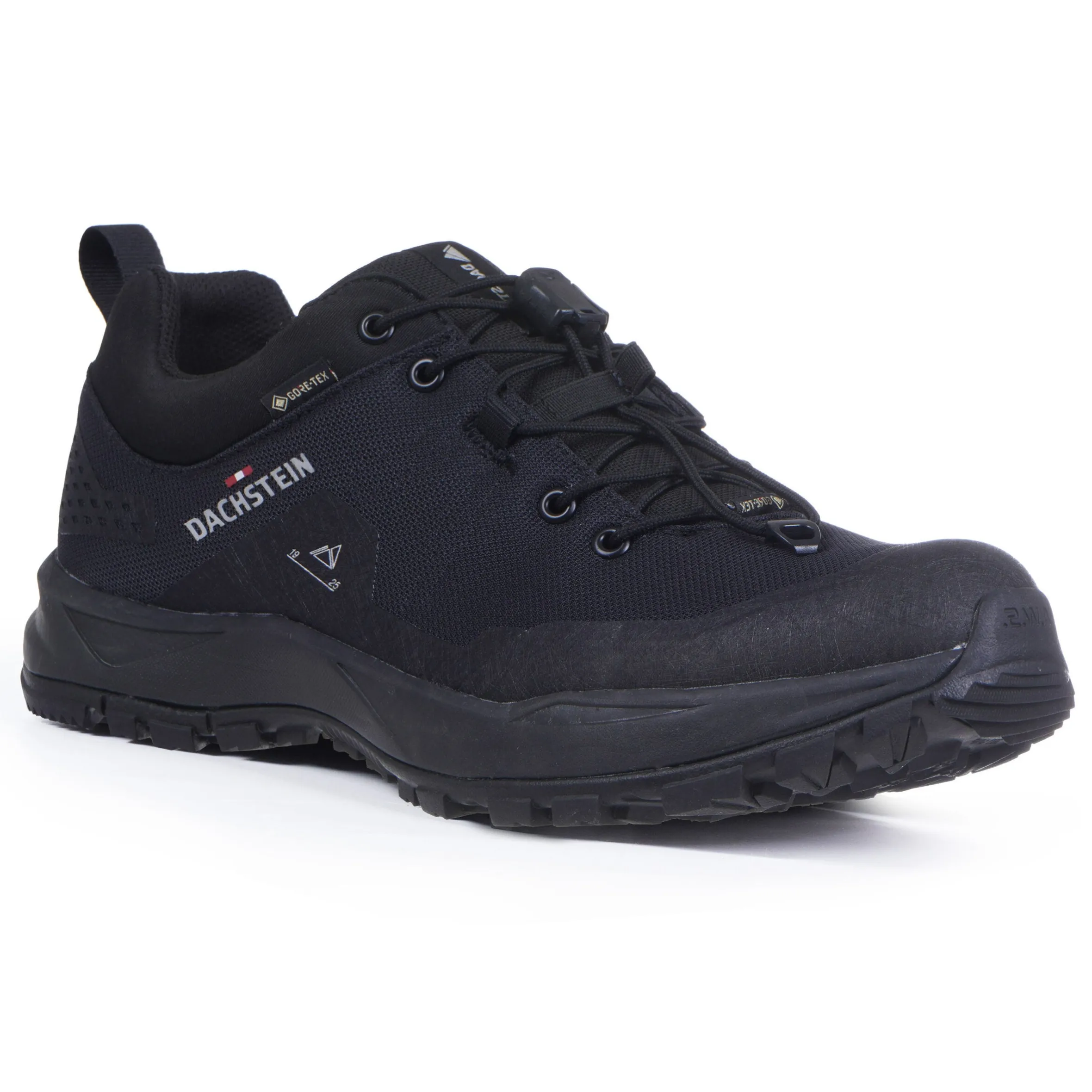 Dachstein Delta Peak GTX