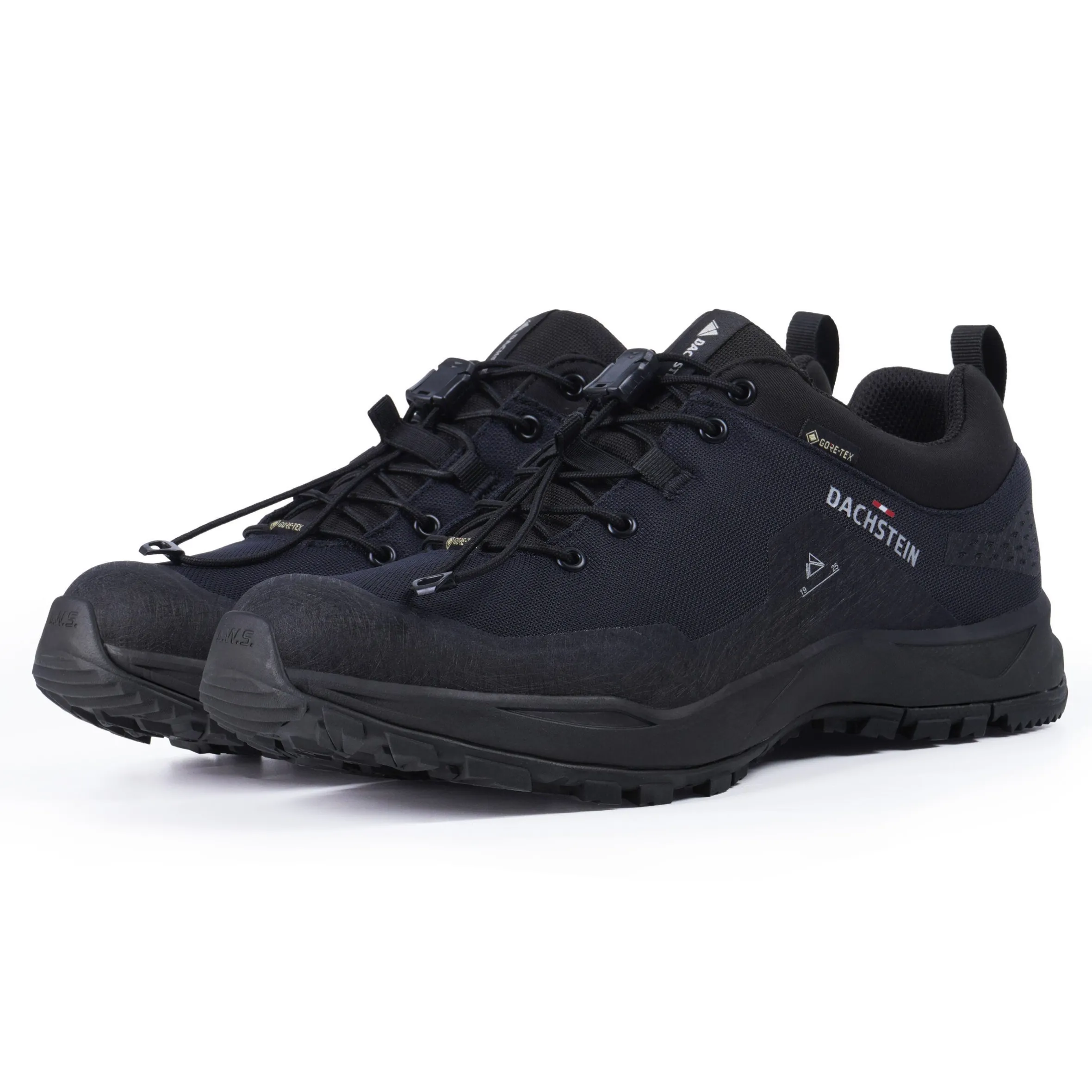 Dachstein Delta Peak GTX