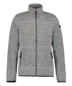 Icepeak Agen