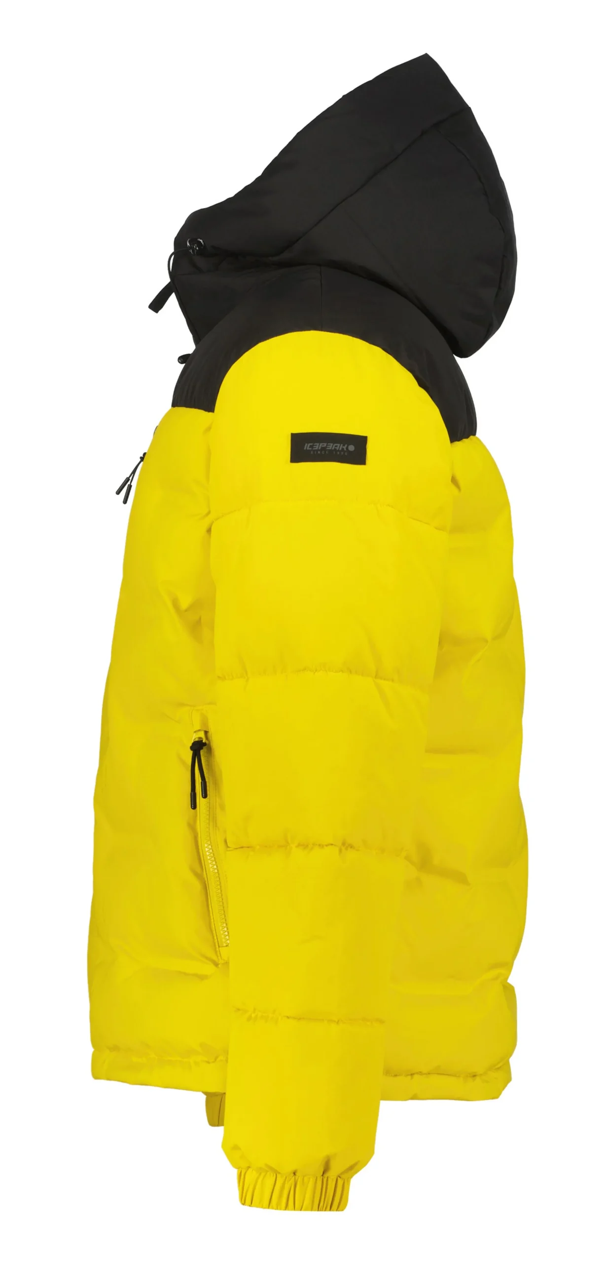 Icepeak Ameri