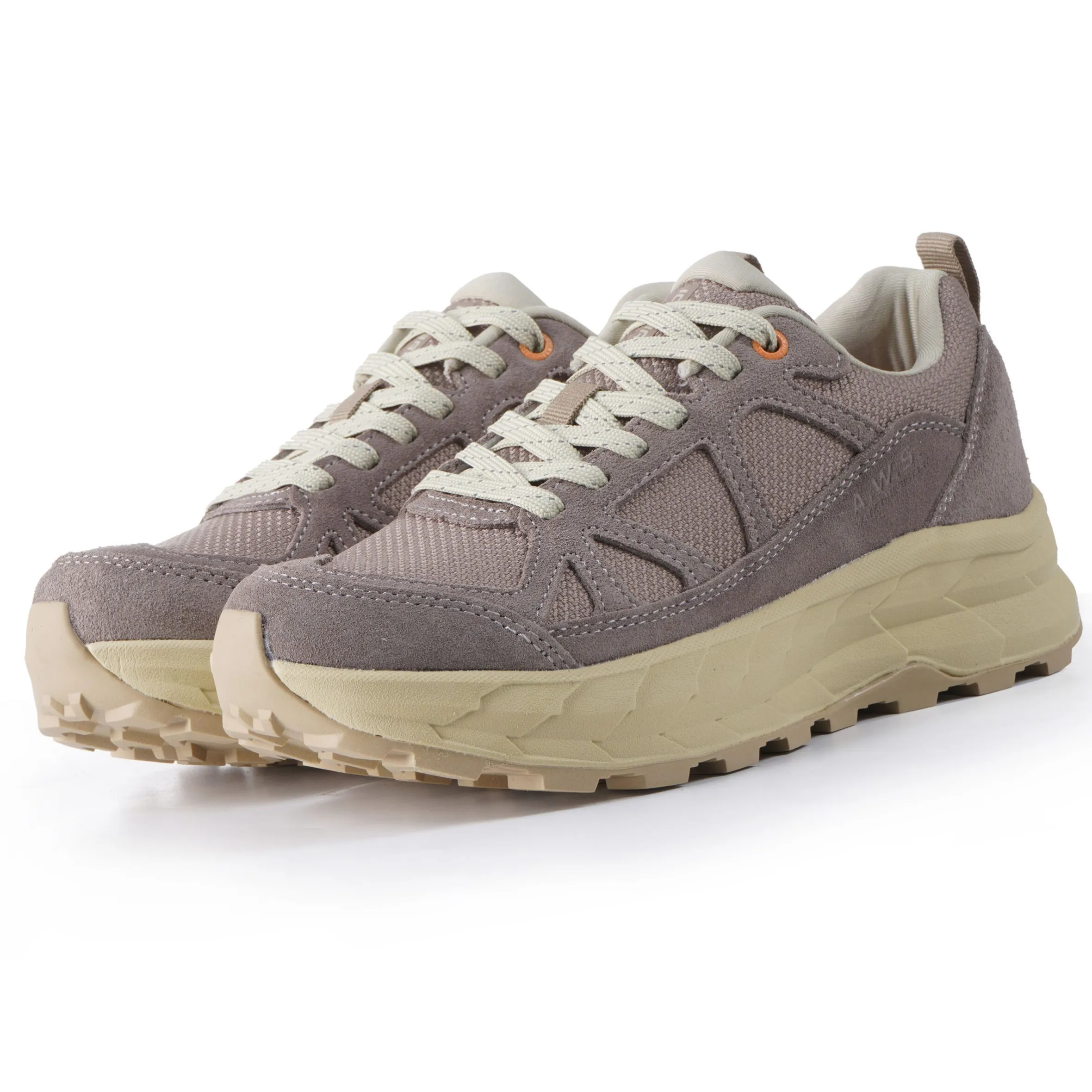 Icepeak Anisi Ms