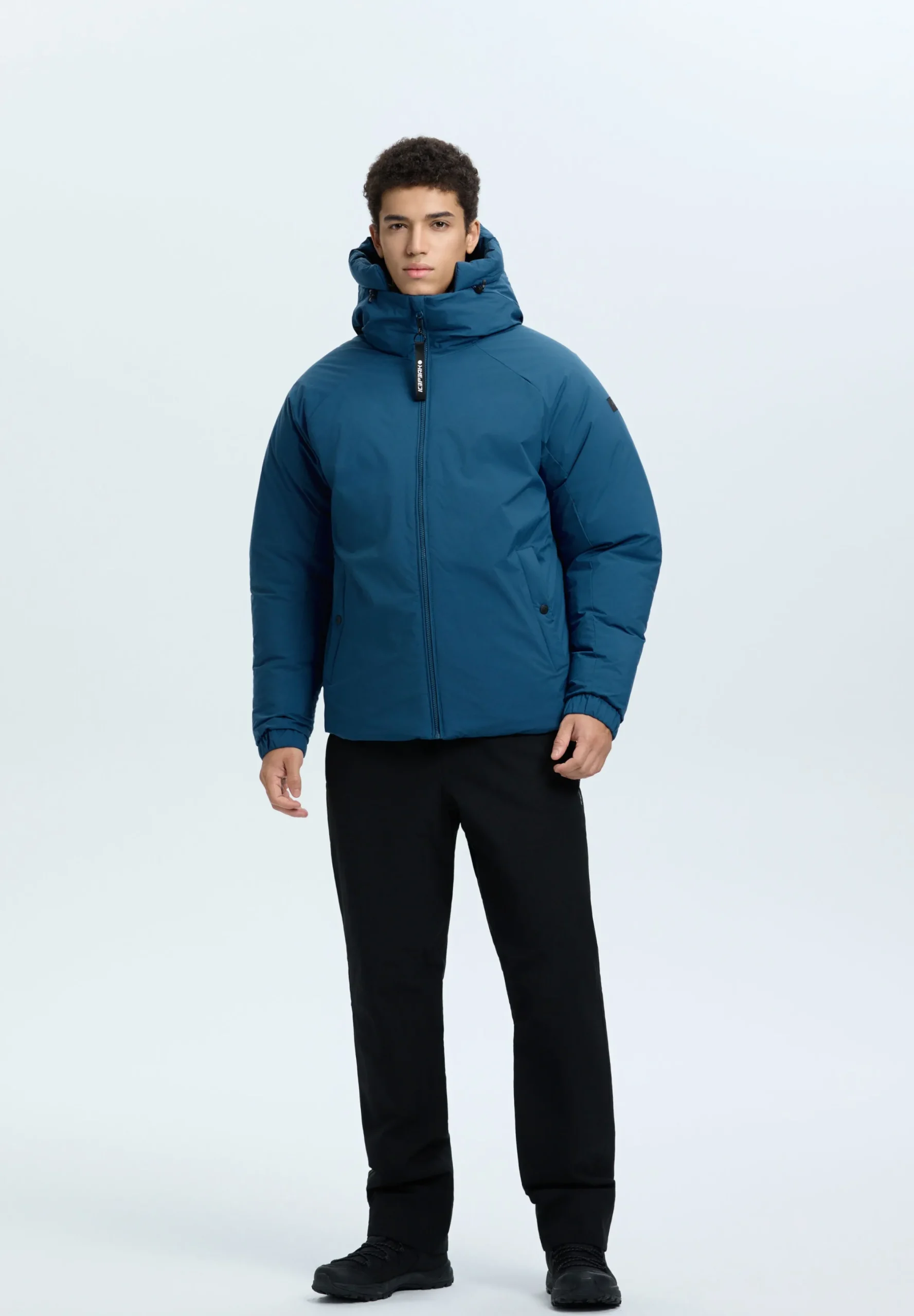 Icepeak Arvin