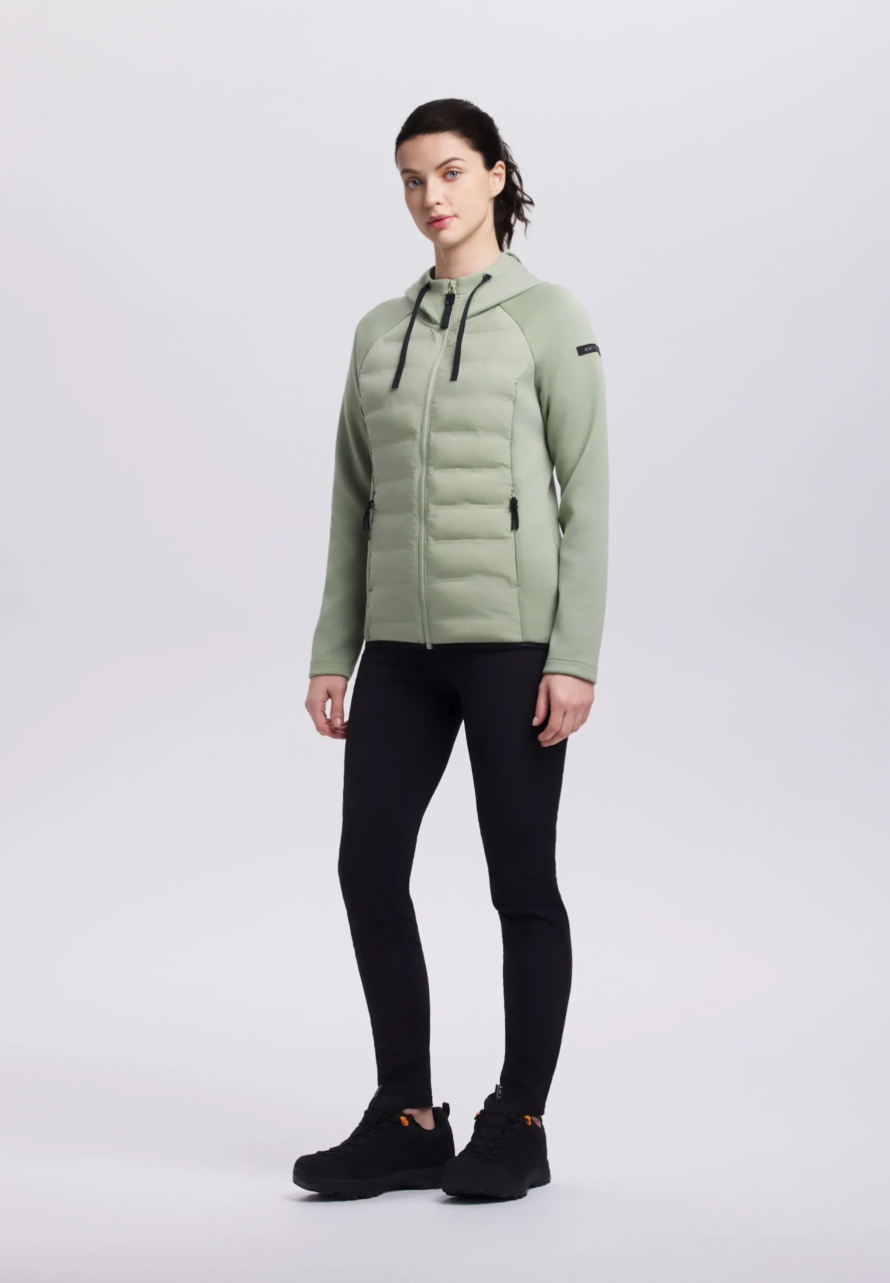 Icepeak Ashburn