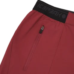 Icepeak Baxter