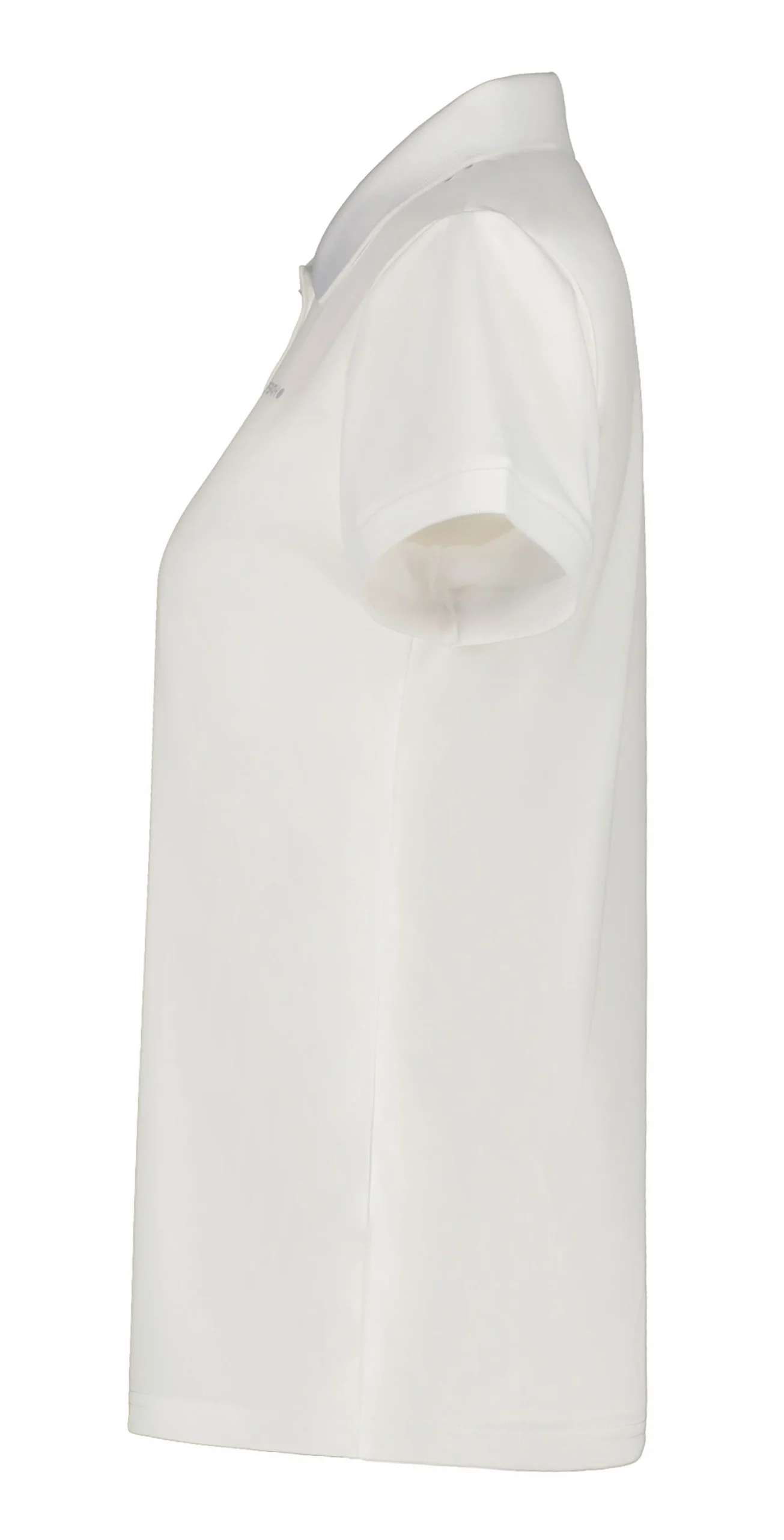 Icepeak Bayard