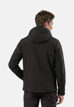 Icepeak Beedeville