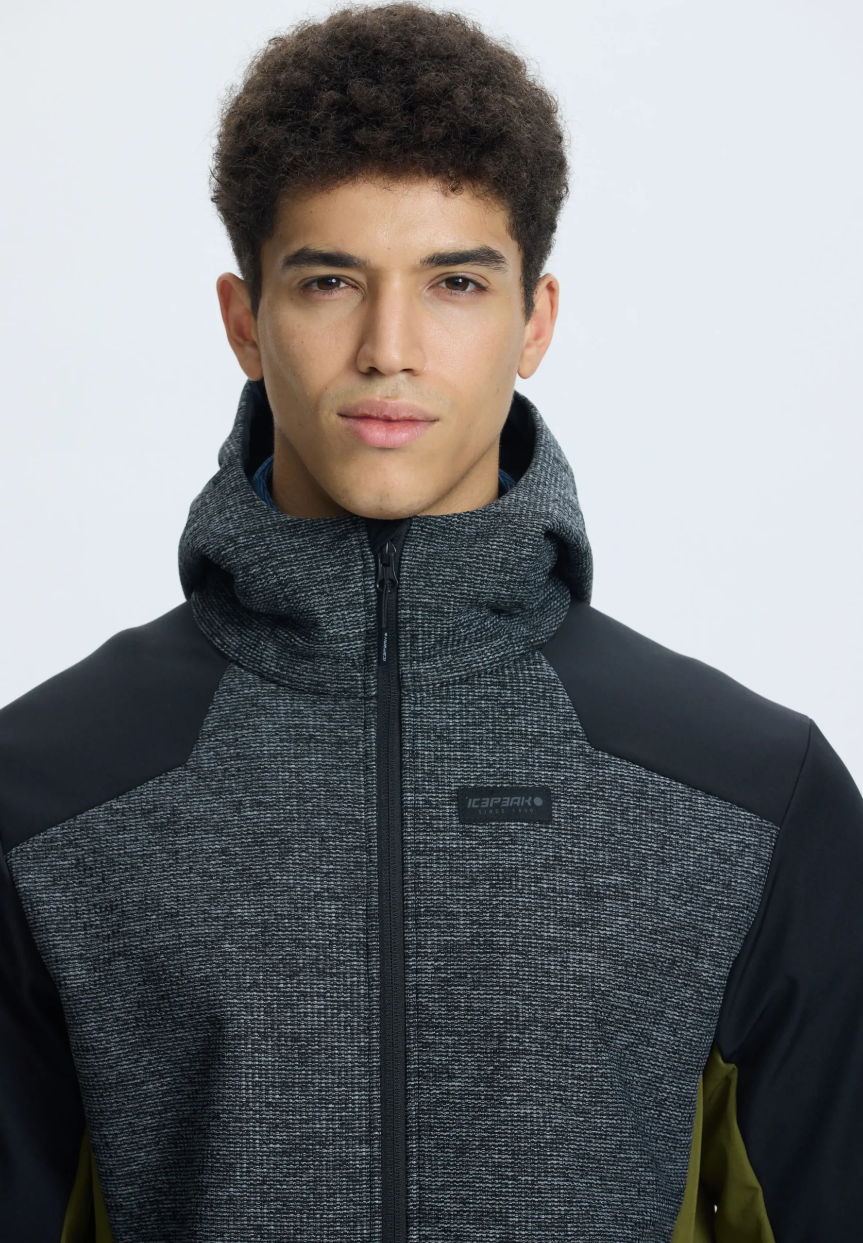 Icepeak Beedeville