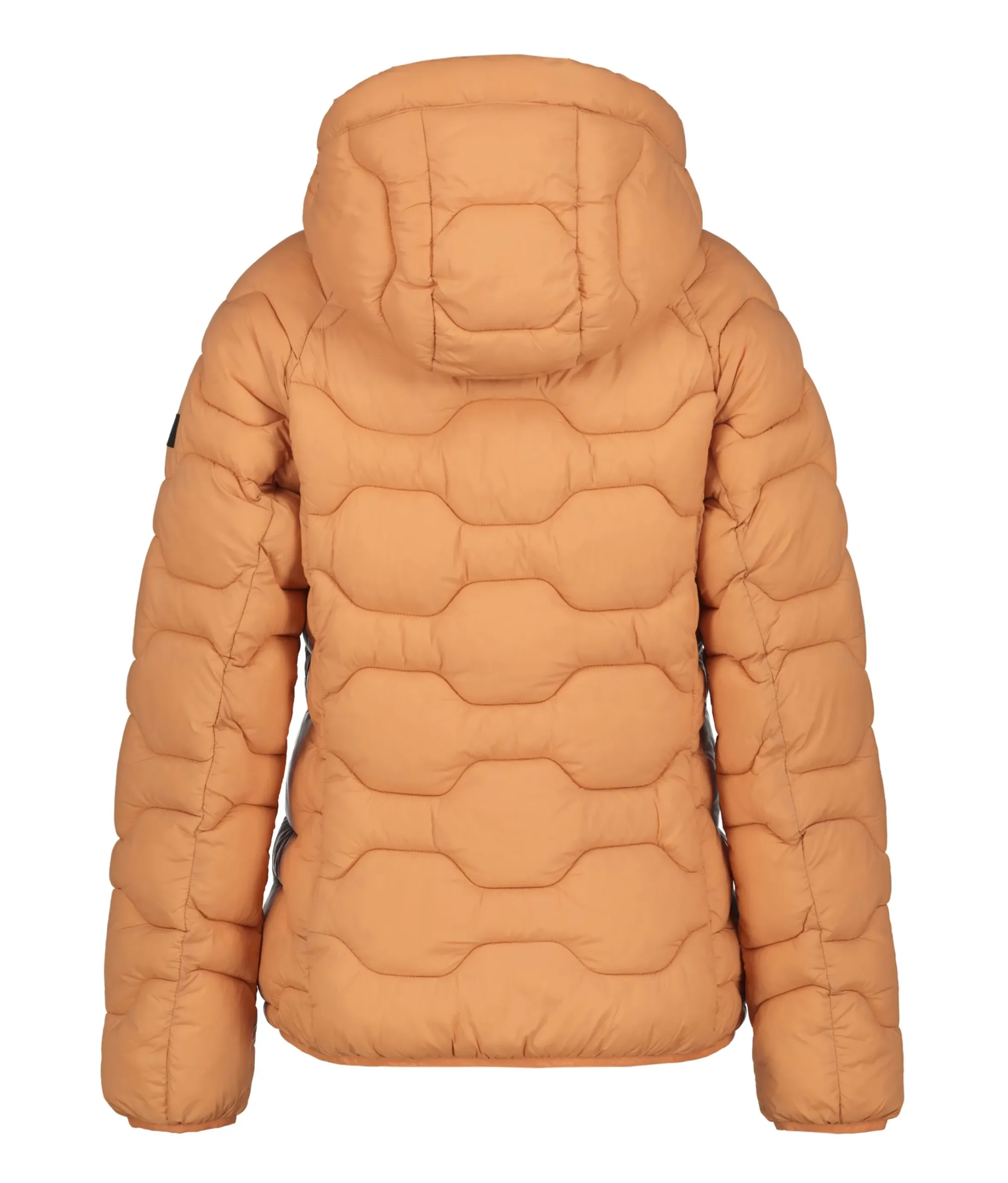 Icepeak Blackey