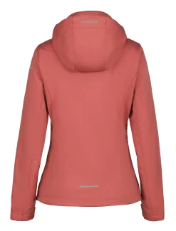 Icepeak Boise