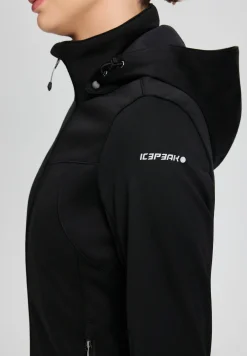 Icepeak Boise