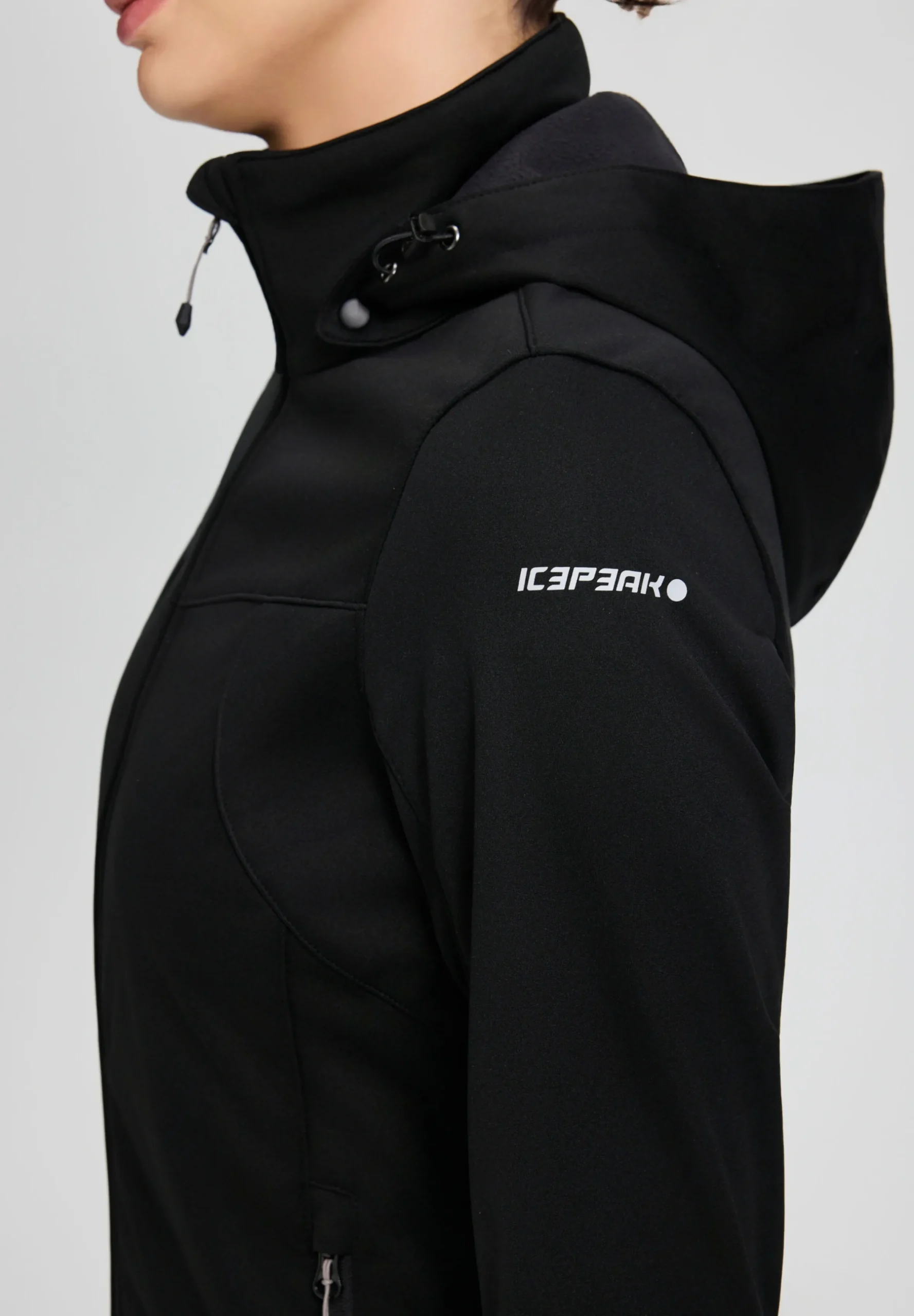 Icepeak Boise