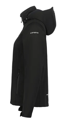 Icepeak Boise