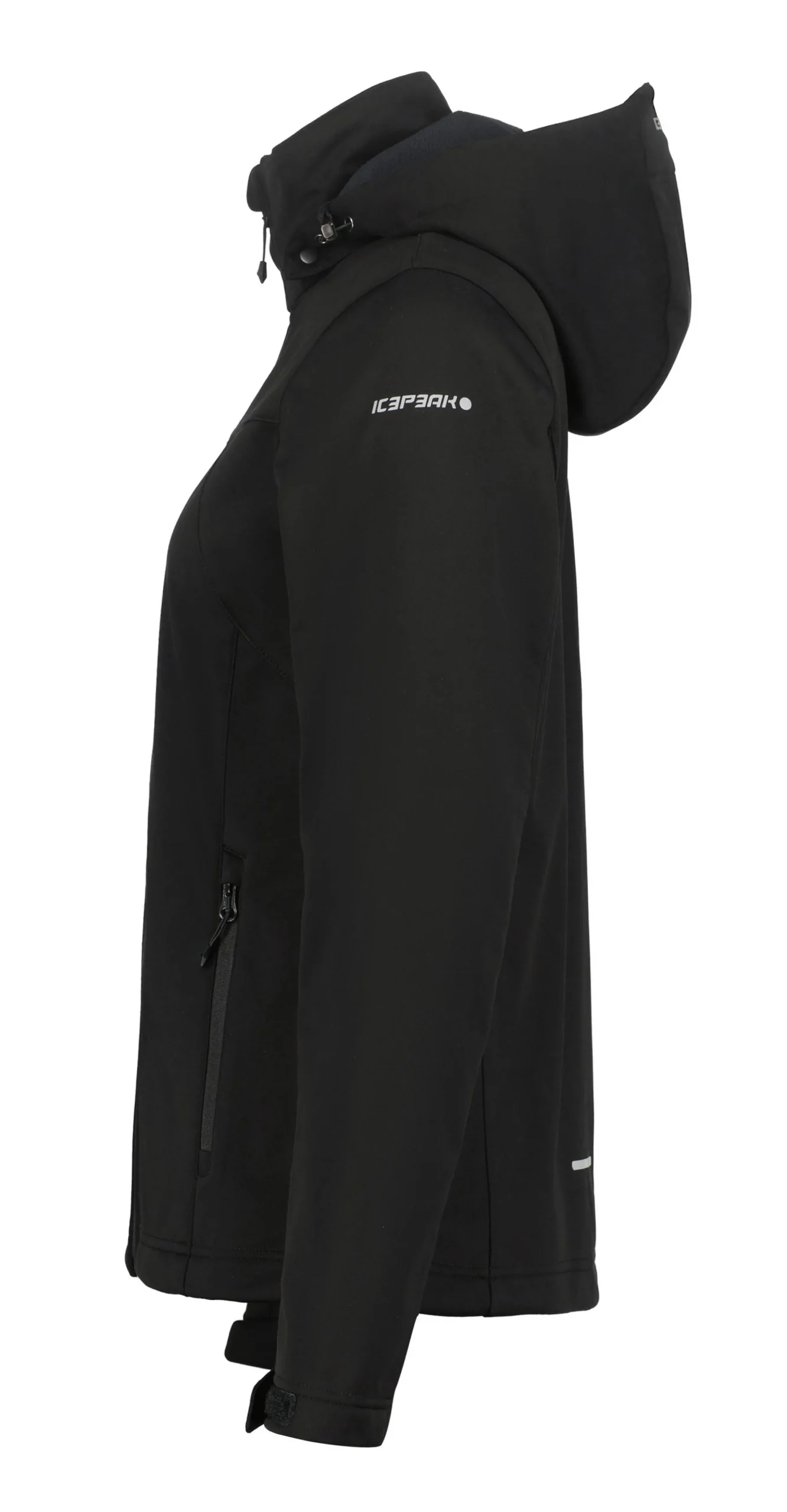 Icepeak Boise