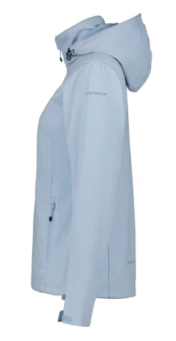 Icepeak Boise