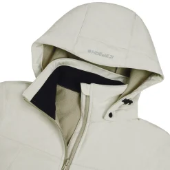 Icepeak Boise