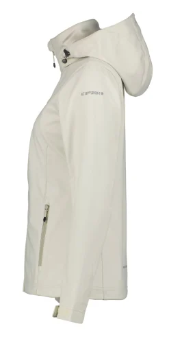 Icepeak Boise