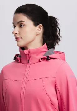 Icepeak Boise