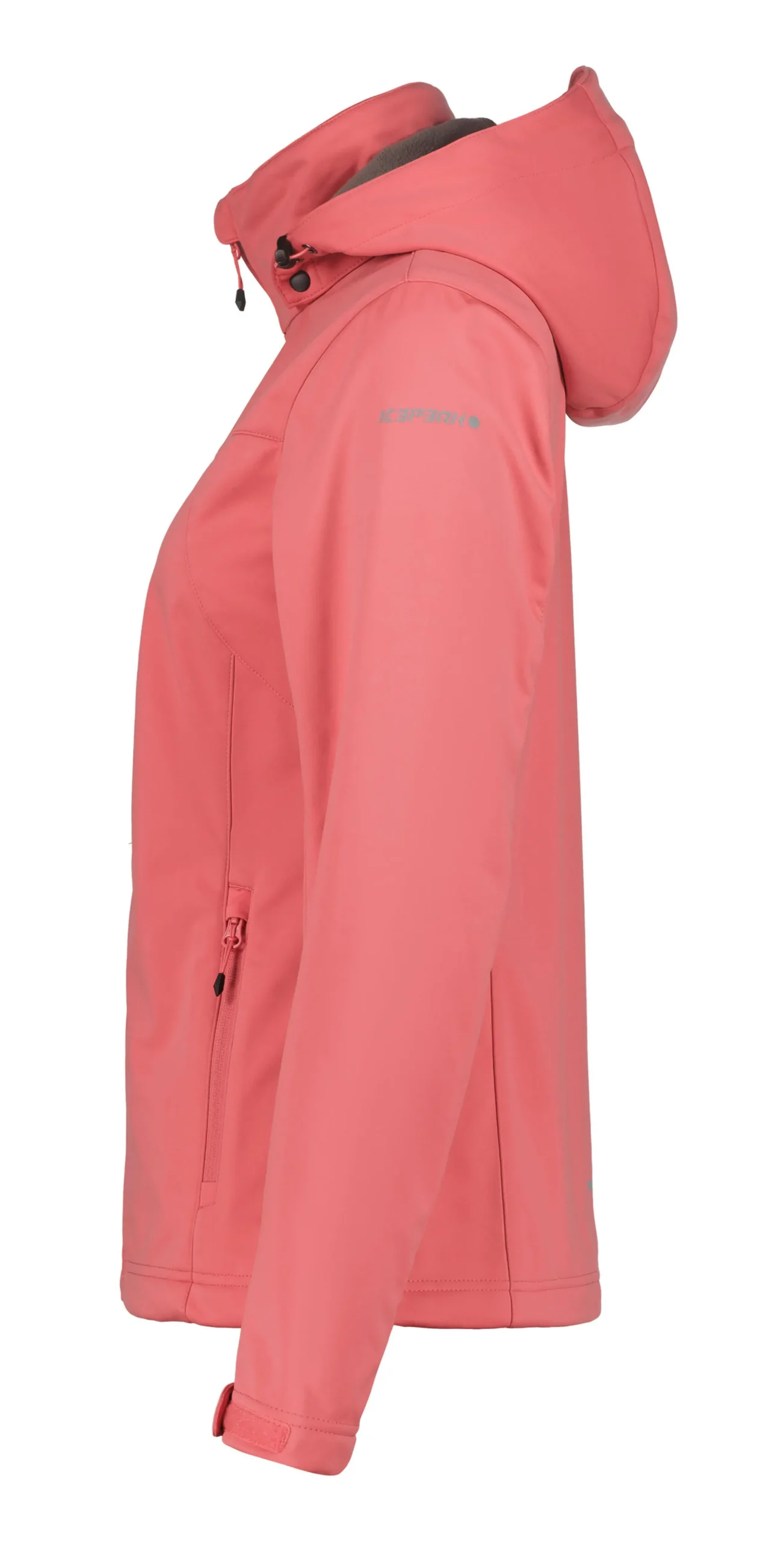 Icepeak Boise