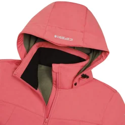 Icepeak Boise