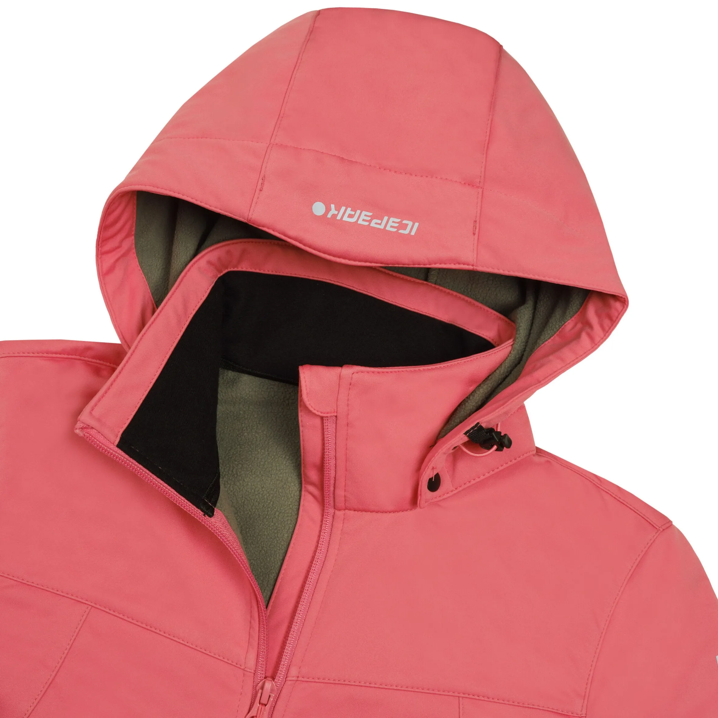 Icepeak Boise