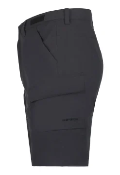 Icepeak Braswell