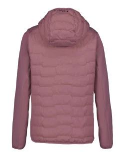 Icepeak Burlison