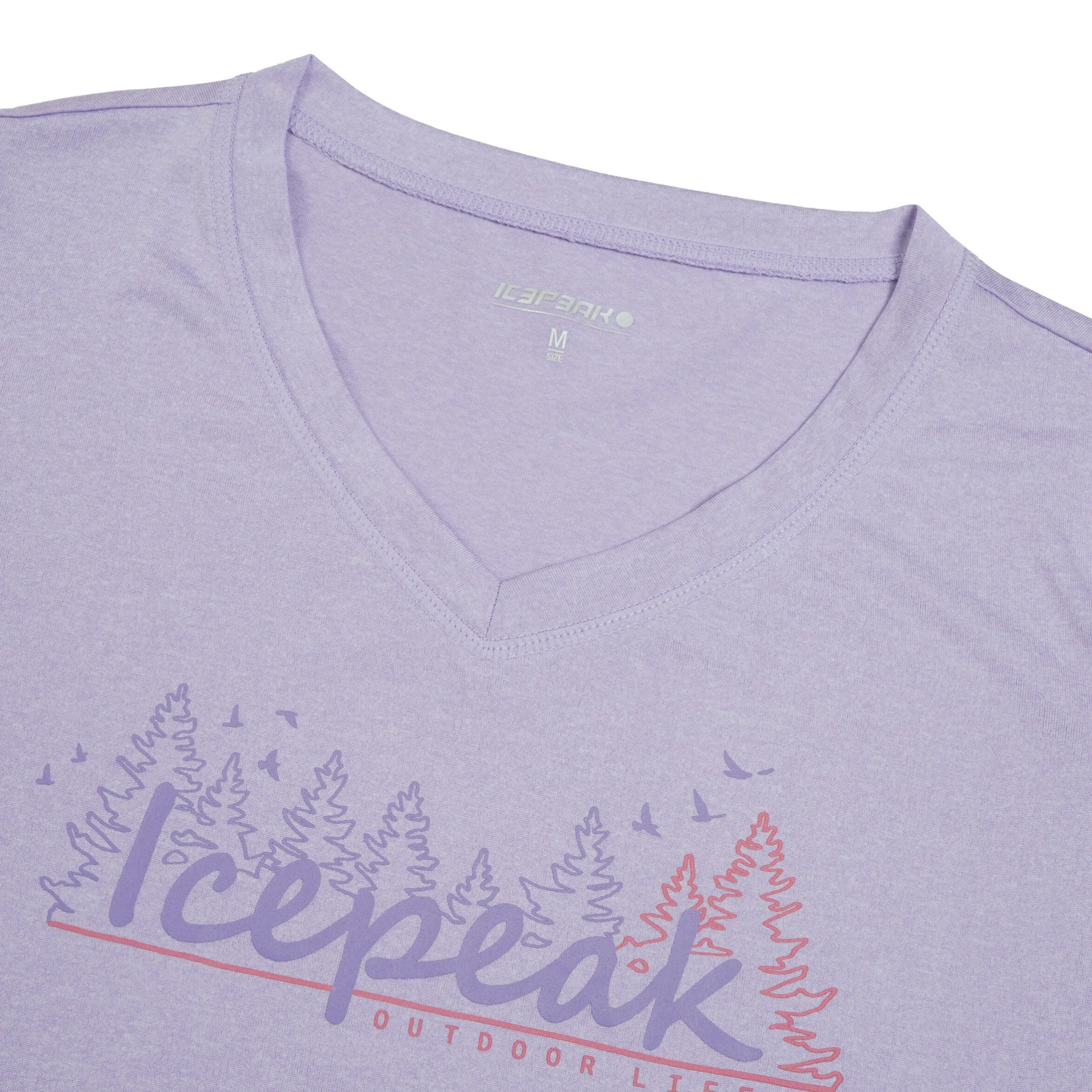 Icepeak Burnham