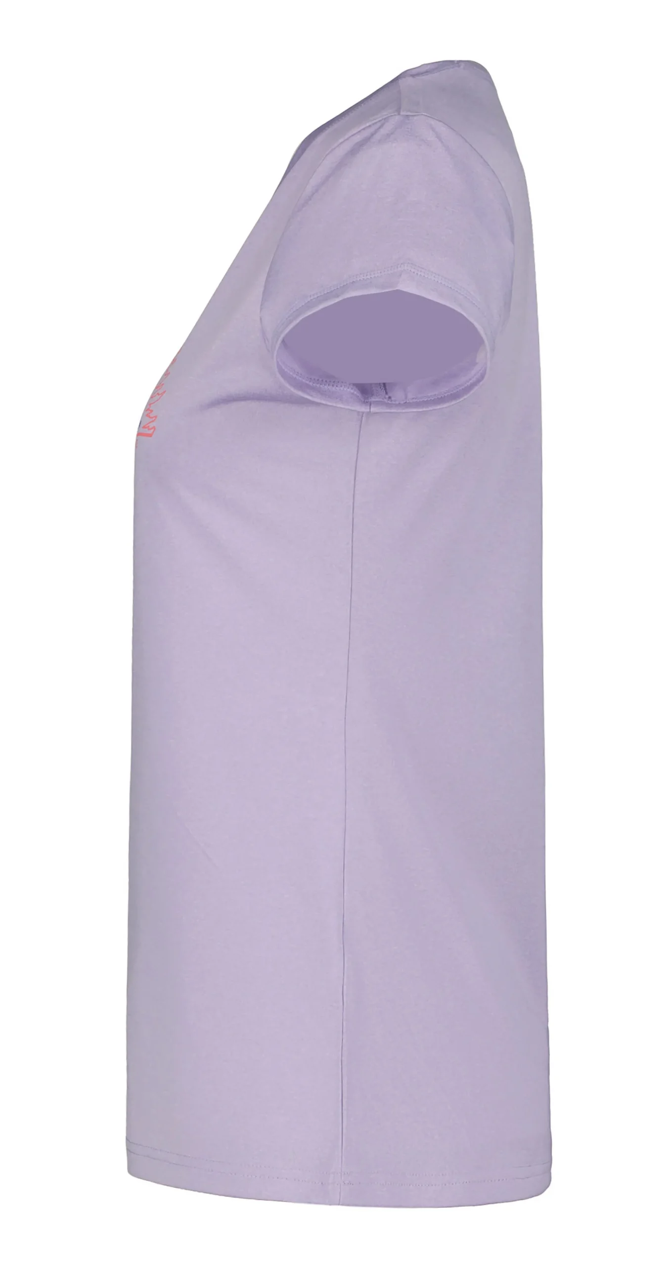 Icepeak Burnham