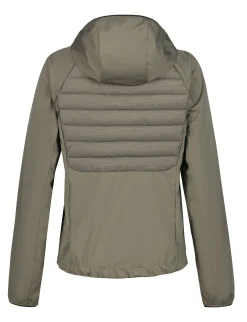 Icepeak Delmont