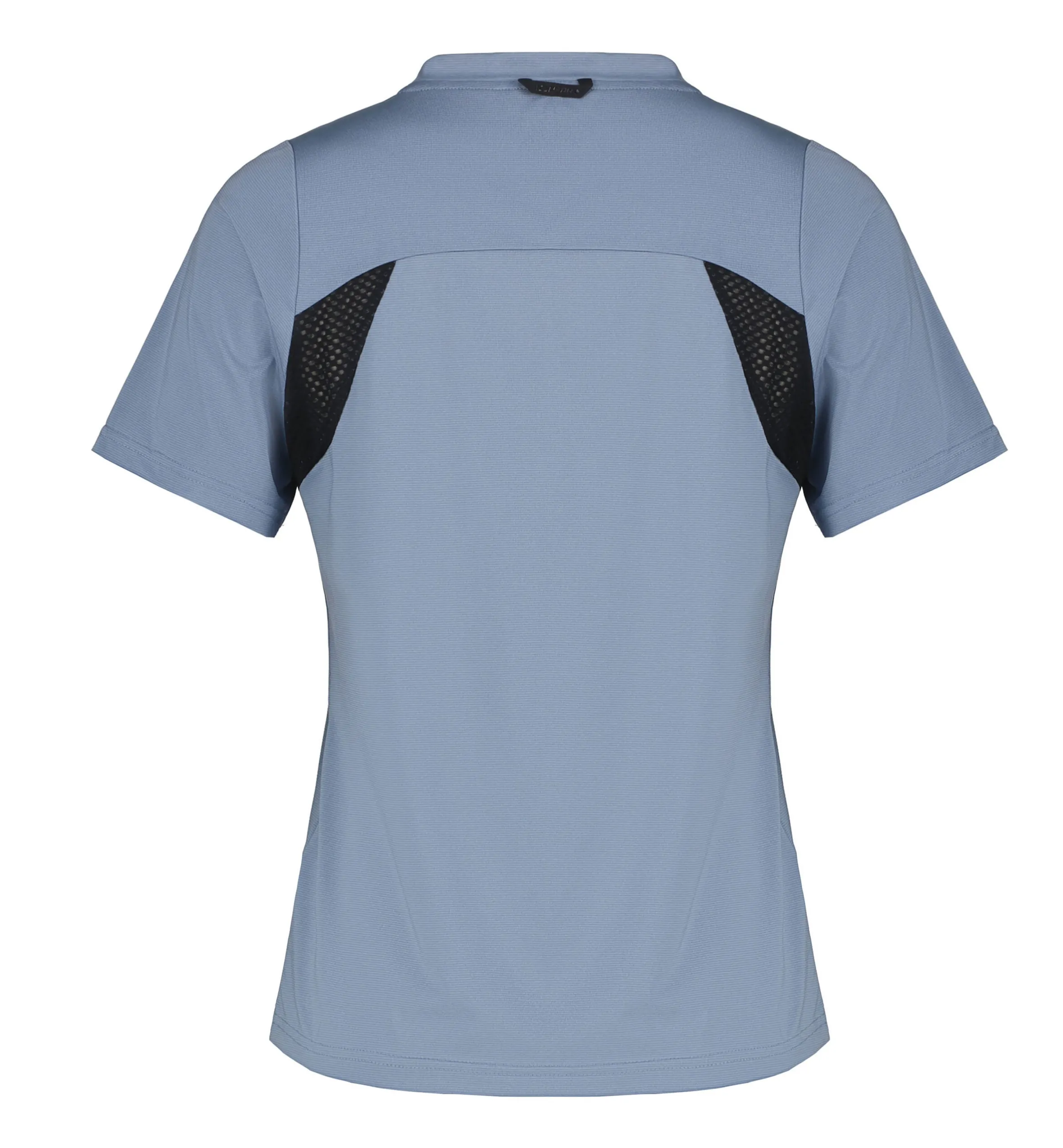 Icepeak Deloit