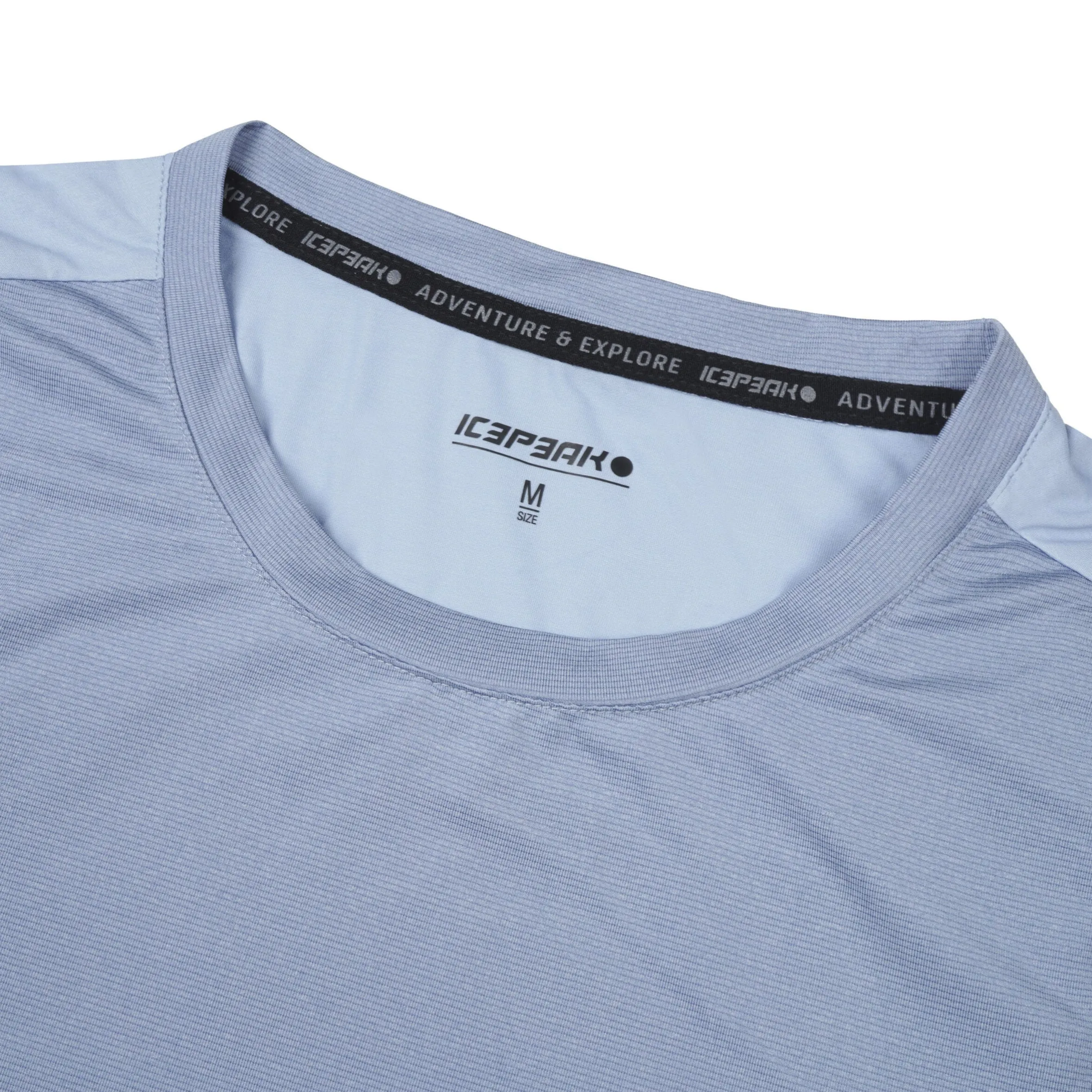 Icepeak Deloit