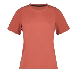 Icepeak Deloit