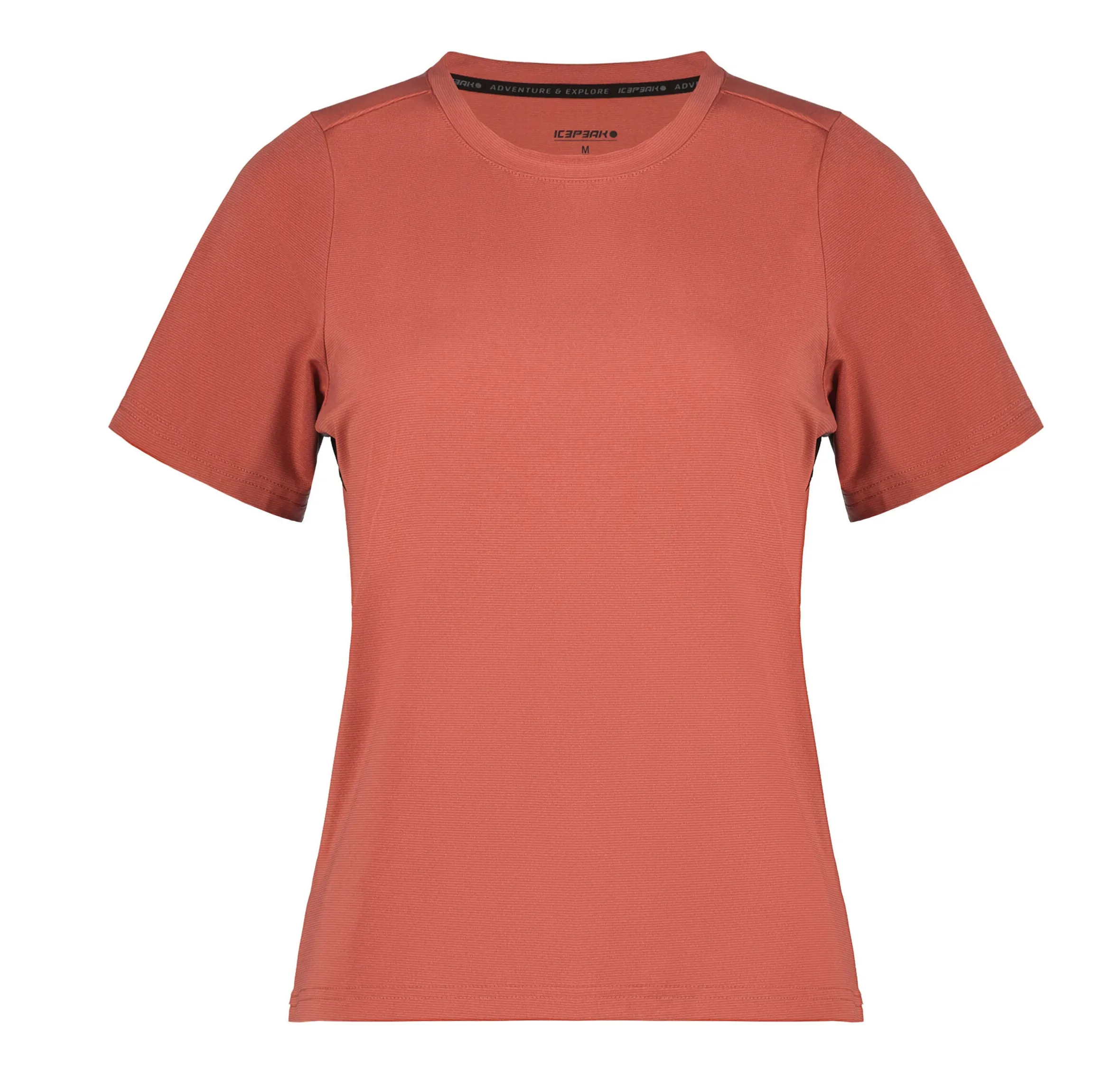 Icepeak Deloit