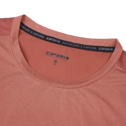 Icepeak Deloit
