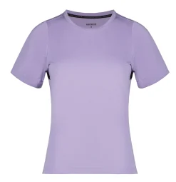 Icepeak Deloit