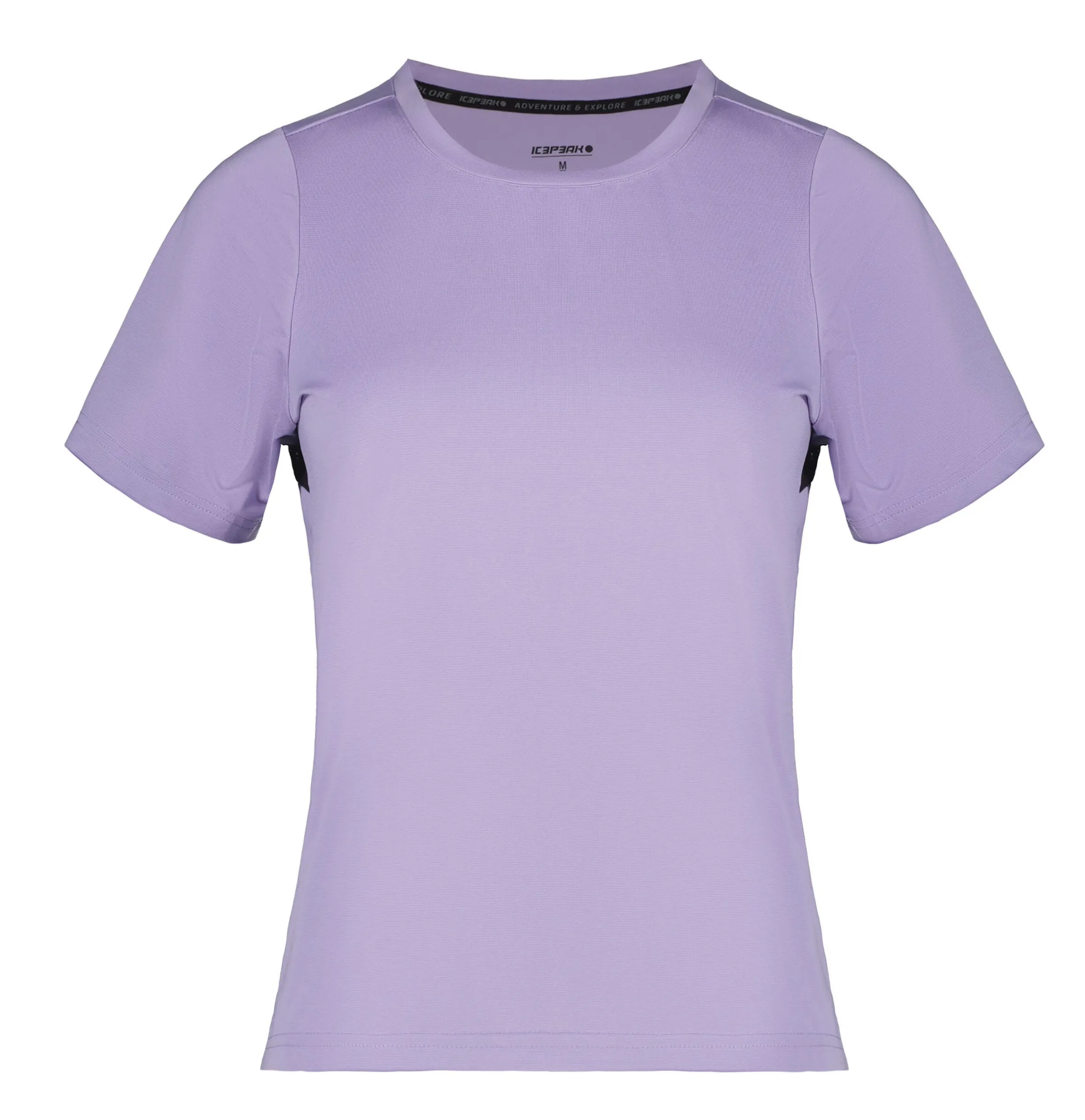 Icepeak Deloit