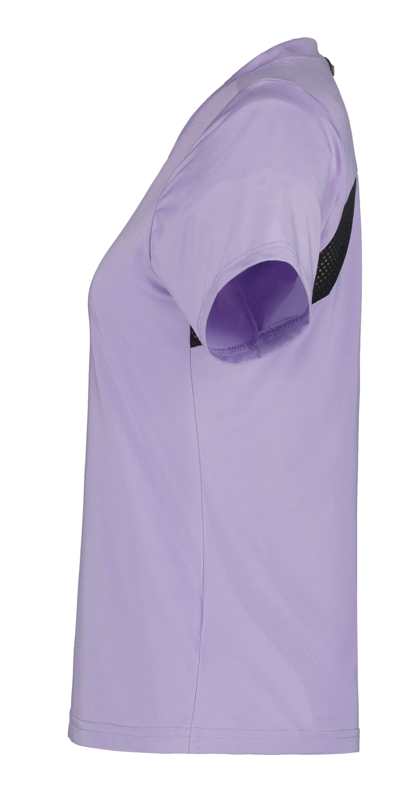 Icepeak Deloit