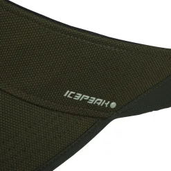 Icepeak Huttig