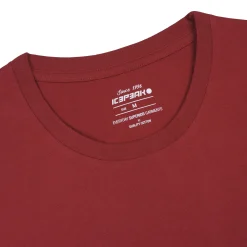 Icepeak Islesboro