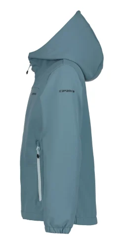 Icepeak Kobryn Jr