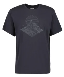 Icepeak Marsing