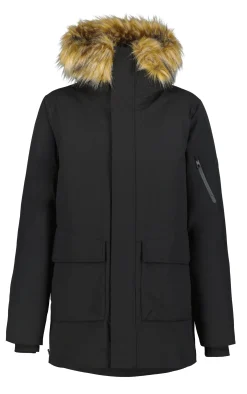 Icepeak Maxbass
