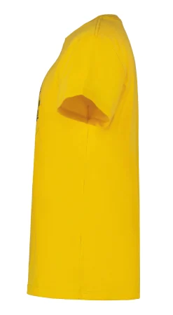 Icepeak Millington
