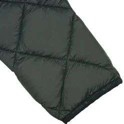 Icepeak Palmer