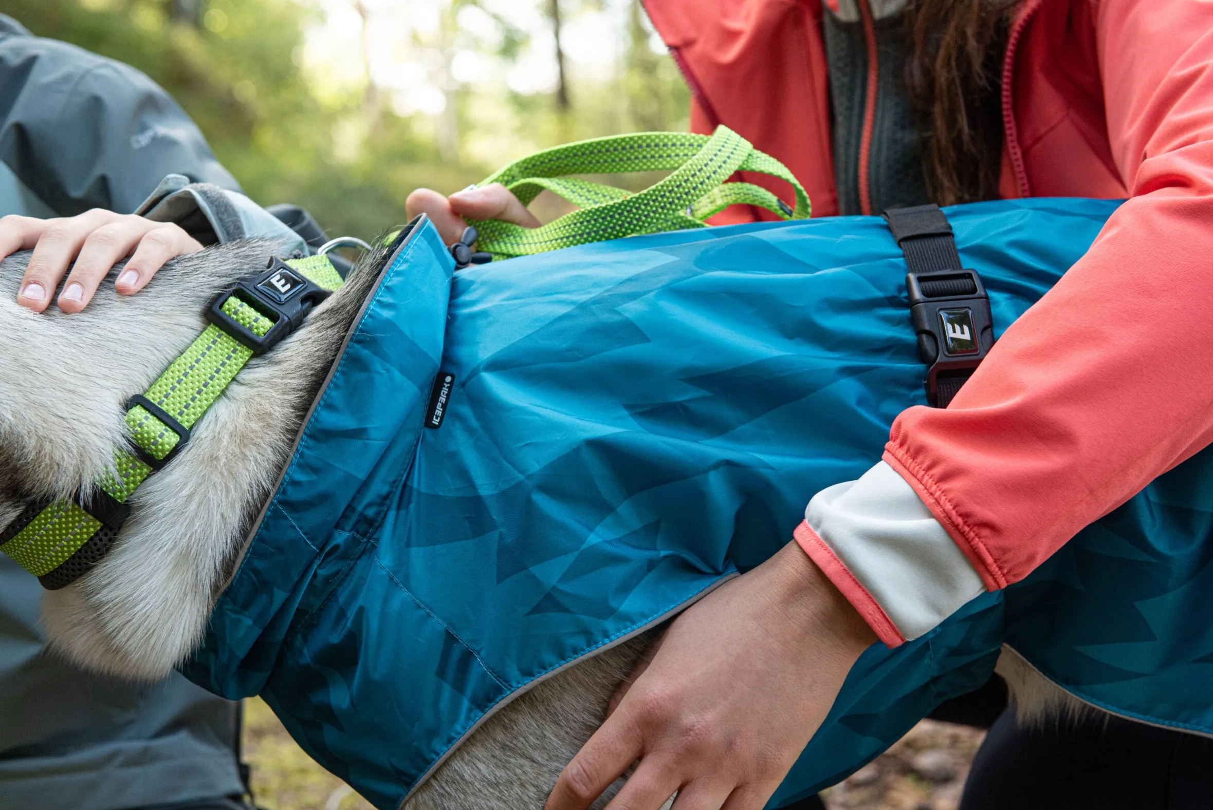 Icepeak Pet Grand x collar
