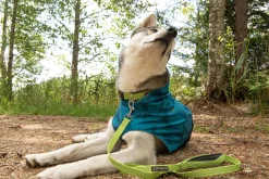 Icepeak Pet Grand x collar