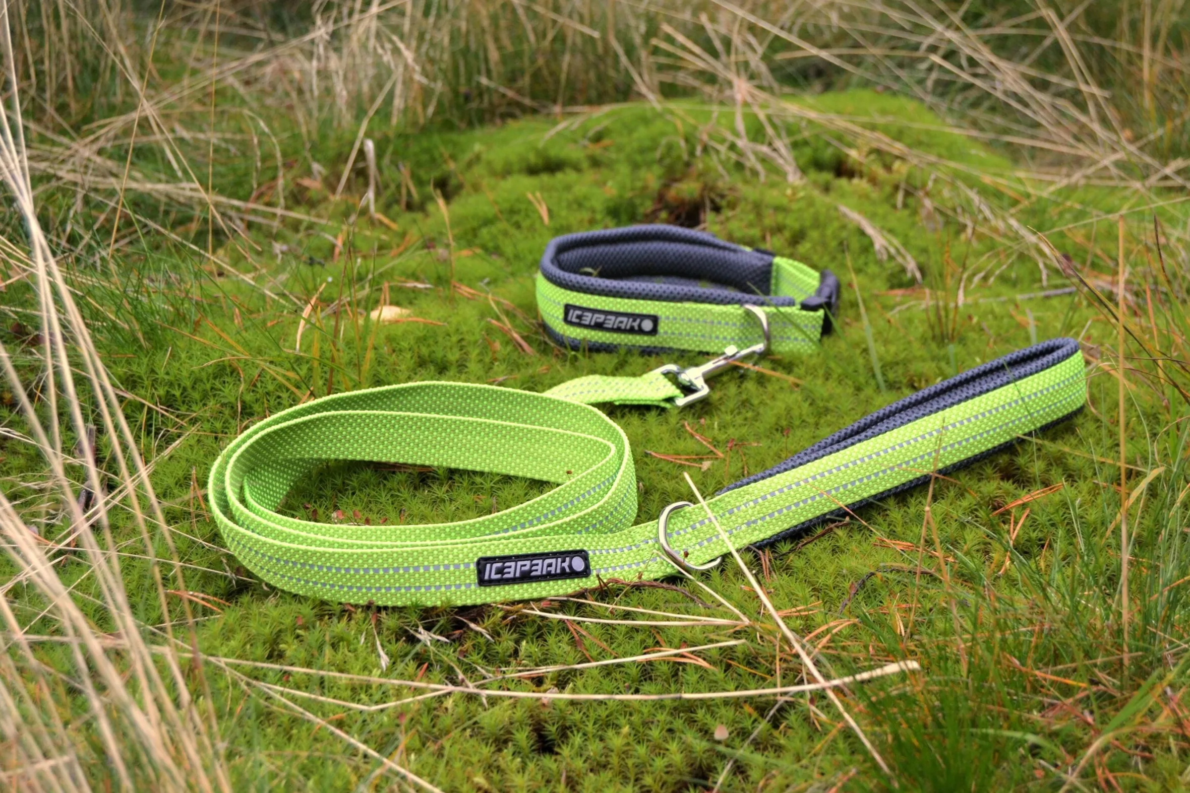 Icepeak Pet Grand x leash