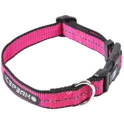 Icepeak Pet Highway basic collar