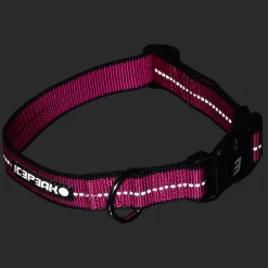 Icepeak Pet Highway basic collar