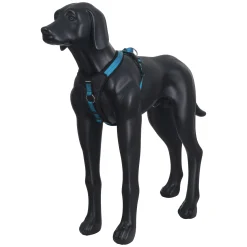 Icepeak Pet Highway harness
